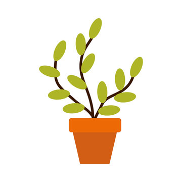 gardening concept, plant in a pot icon, flat style