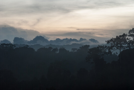 Khao Yai National Park