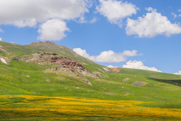 Fototapeta premium mountain landscape in summer