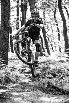 Mountain biker