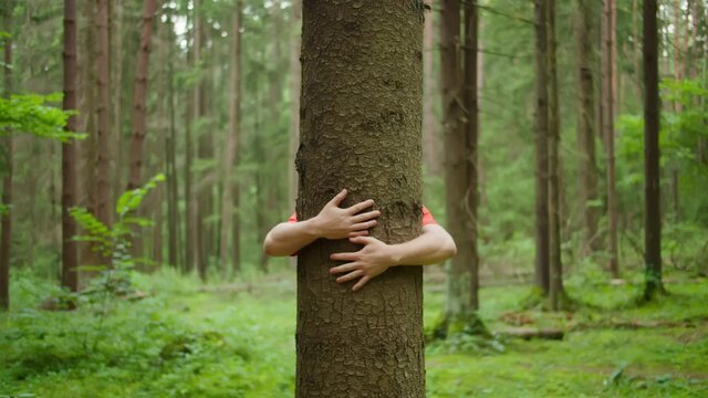 Man with strong hands hugs a tree trunk, environmental protection, unity with nature