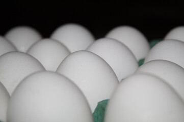 Ovos brancos com casca em uma cartela verde