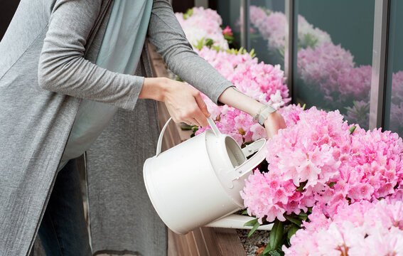 Woman watering flowers azaleas