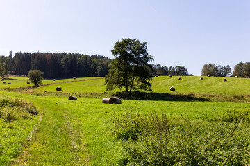 Fototapeta premium Late summer Landscape in the Czech Switzerland, Czech Republic