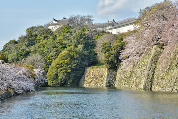 姫路城の櫓と桜