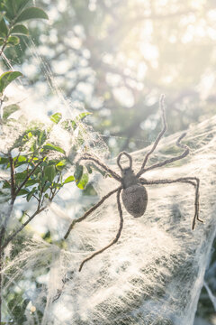 halloween decorating ideas for the garden, giant spider and web, preferably fake