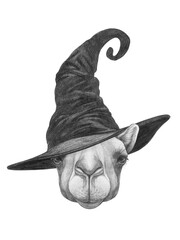 Portrait of Camel with a witch hat. Halloween illustration