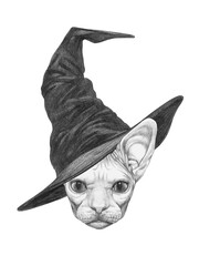 Obraz premium Portrait of Sphynx Cat with a witch hat. Halloween illustration