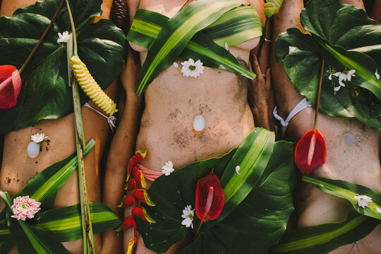 Beautiful naked female body covered with tropical flowers and plant