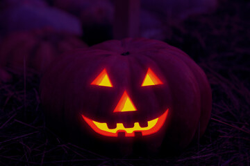 burning awesome smile from the dark halloween decor carved out of pumpkin