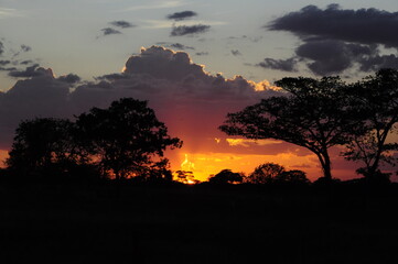 atardecer llanero
