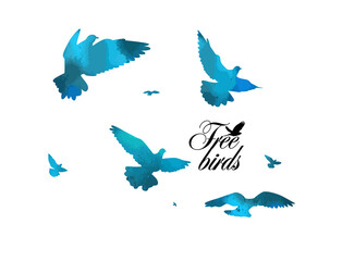 Bird watercolor. A flock of colorful birds. Mixed media. Vector illustration