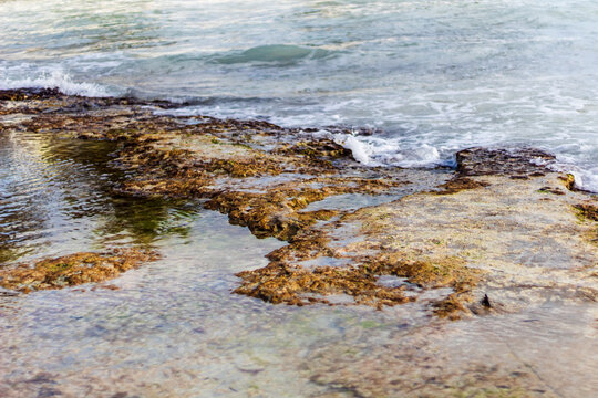 sea and rocks