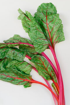 Red chard