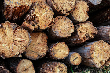 logs horizontal stack dark brown trunks end pattern base