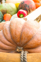 big orange pumpkin stands on blurry background of vegetables and paprika pepper