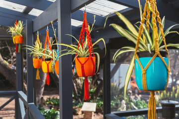 macrame with potted plants hanging outdoors