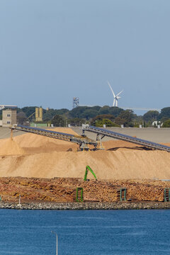 Timber and grain exports from Australia Port