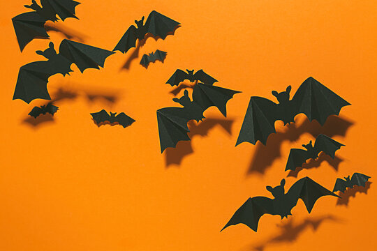 Halloween bats flying.