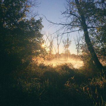 Fog Rising Over A Small Pond On An Autumn Morning