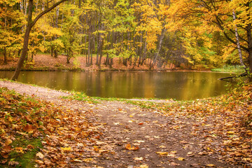 Obraz na płótnie Canvas view of the pond is surrounded by autumn forest with yellow leaves