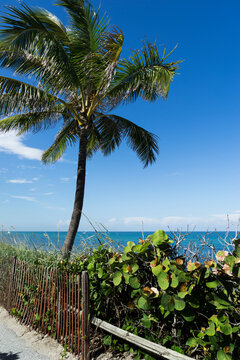 Beach in Florida