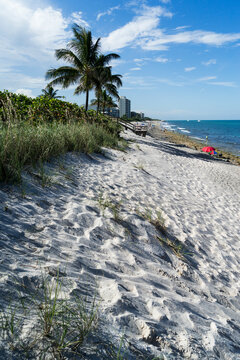 Beach in Florida