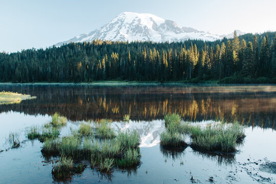 Mt. Rainer at sunrise