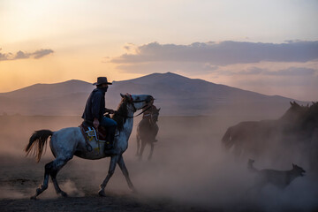 Wild horses run in foggy at sunset. Wild horses are running in dust. Near Hormetci Village, between Cappadocia and Kayseri, Turkey