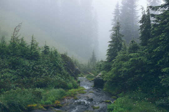 Clouds lifting over lush alpine mountains, small stream in foreground
