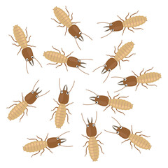 マンガ風シロアリの群れ　シロアリ駆除