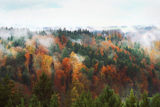 Autumnland