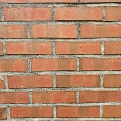 red brick wall