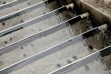 雨に濡れた階段