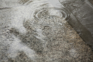 雨に濡れた歩道