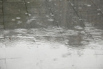 雨に濡れた歩道