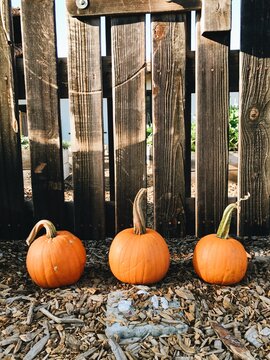 Pumpkins