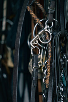 Hanging reins and harness