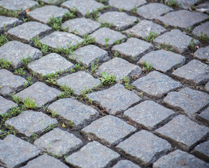 Paving stones on the street of a European city
