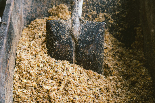 Horse feed and shovel