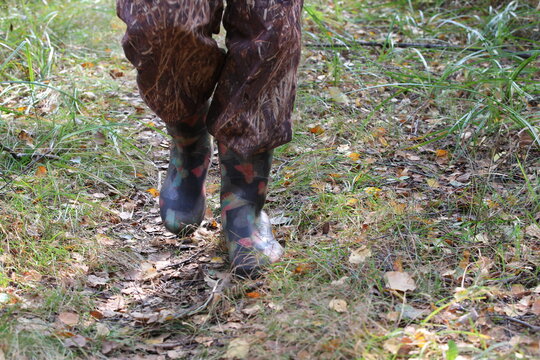 Feet in Hiking protective brown trousers tucked into rubber boots on the ground on a forest path with yellow withered leaves.Frontal view of the lower part of a person walking on dry grass.