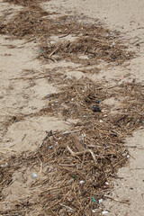 汚れた砂浜