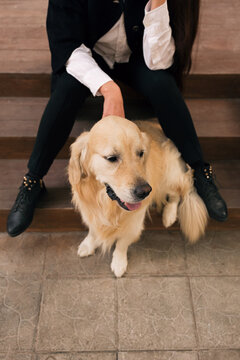 Unrecognizable female sitting on stairs next to her dog.