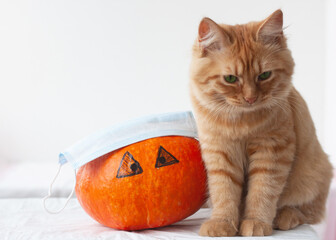 A red-haired kitten with green eyes sits next to an orange pumpkin, eyes are drawn on the pumpkin, and a medical mask is on top. Halloween protected from viruses