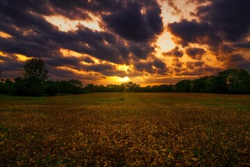 This scenic image shows a remote, rural, small town sunset over a tree lined field.