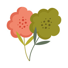 flowers stem nature decoration isolated icon design