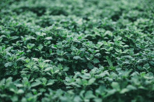 Keep Going, Keep Growing
