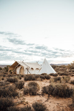 Desert Camp