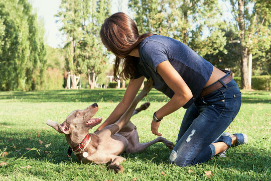 Girl playing with her dog.