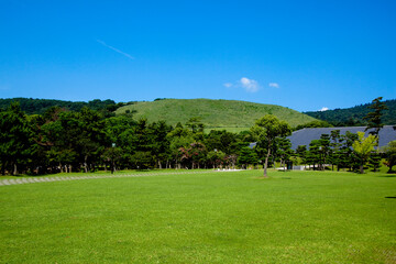 Fototapeta na wymiar 奈良公園と若草山